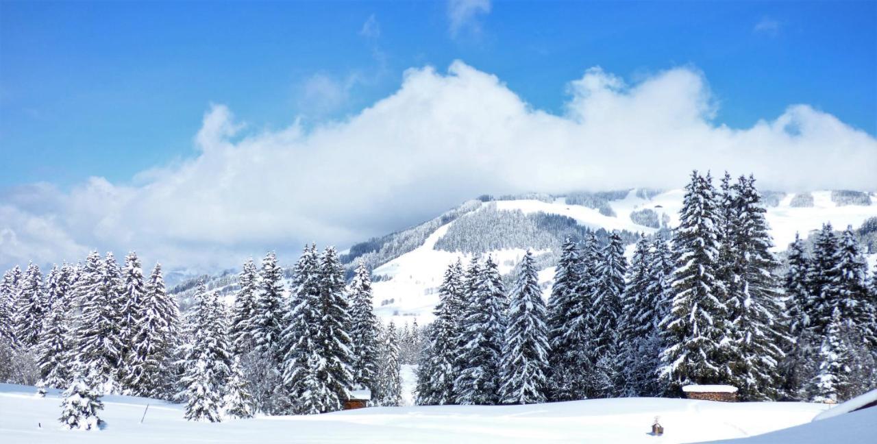 Hotel La Grange D'Arly Megeve Bagian luar foto
